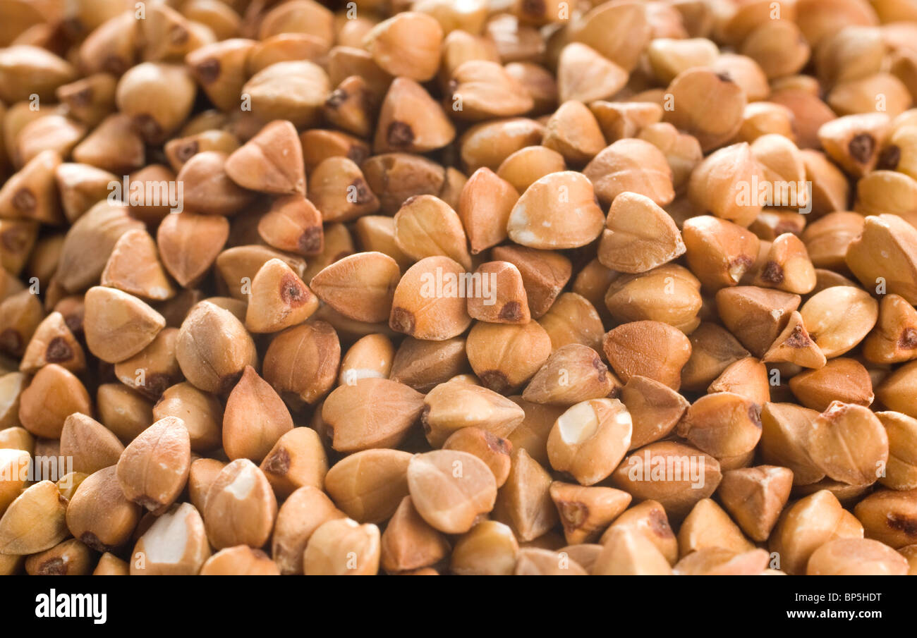 buckwheat seeds,Fagopyrum Stock Photo Alamy