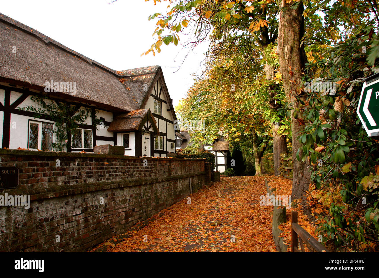 UK, England, Cheshire, Stockport, Bramhall, Benja Fold in autumn Stock Photo