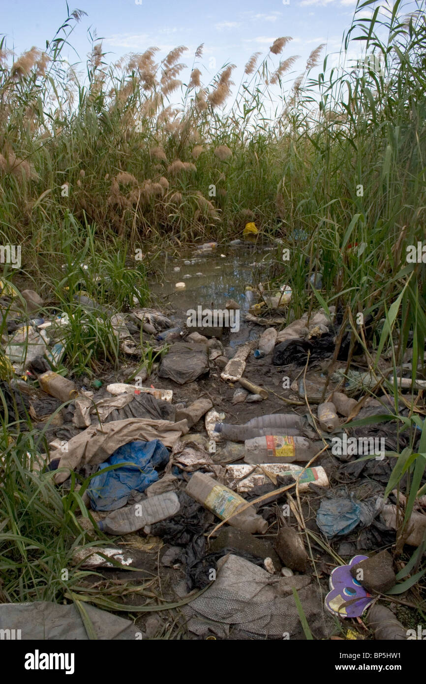 Phragmites reedbed filled with rubbish, Beira, Mozambique Stock Photo