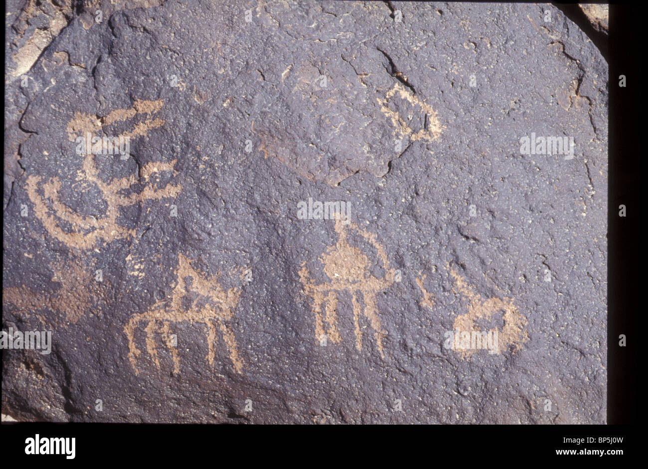 3462. MT. CARCOM, ROCK DRAWINGS DEPICTING LOCAL ANIMALS AND HUNTING SCENES Stock Photo
