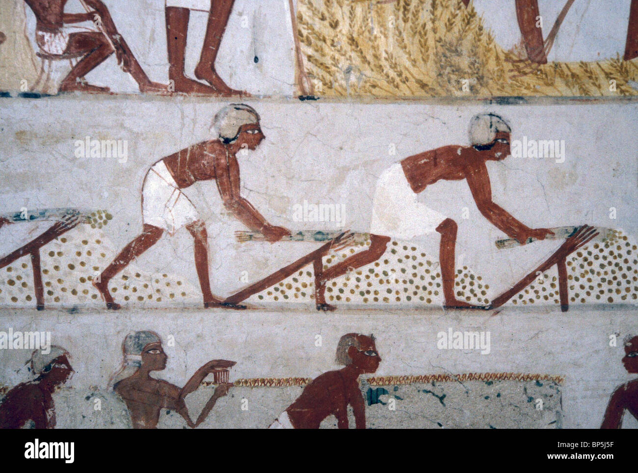 Wall painting from her tomb hi-res stock photography and images - Alamy