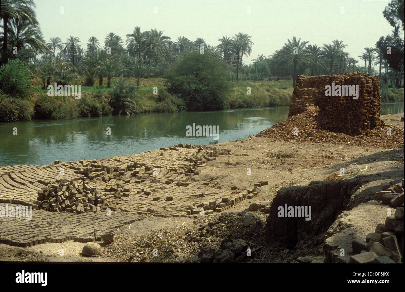4022. BRICK DRYING IN THE SUN BY THE NILE Stock Photo - Alamy