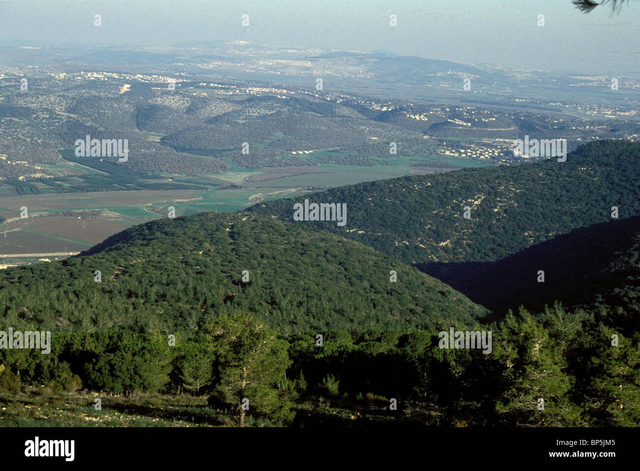 4063. MT. CARMEL,THE EASTERN SLOPES WITH A VIEW ON WADI ARA Stock Photo