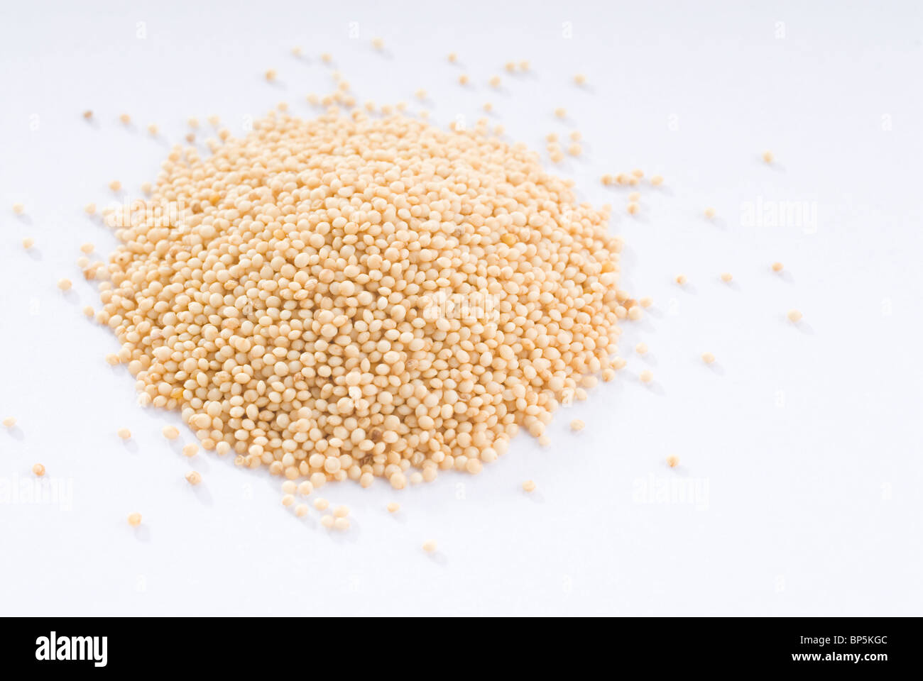 pile of amaranth seeds,amaranthus cutout Stock Photo