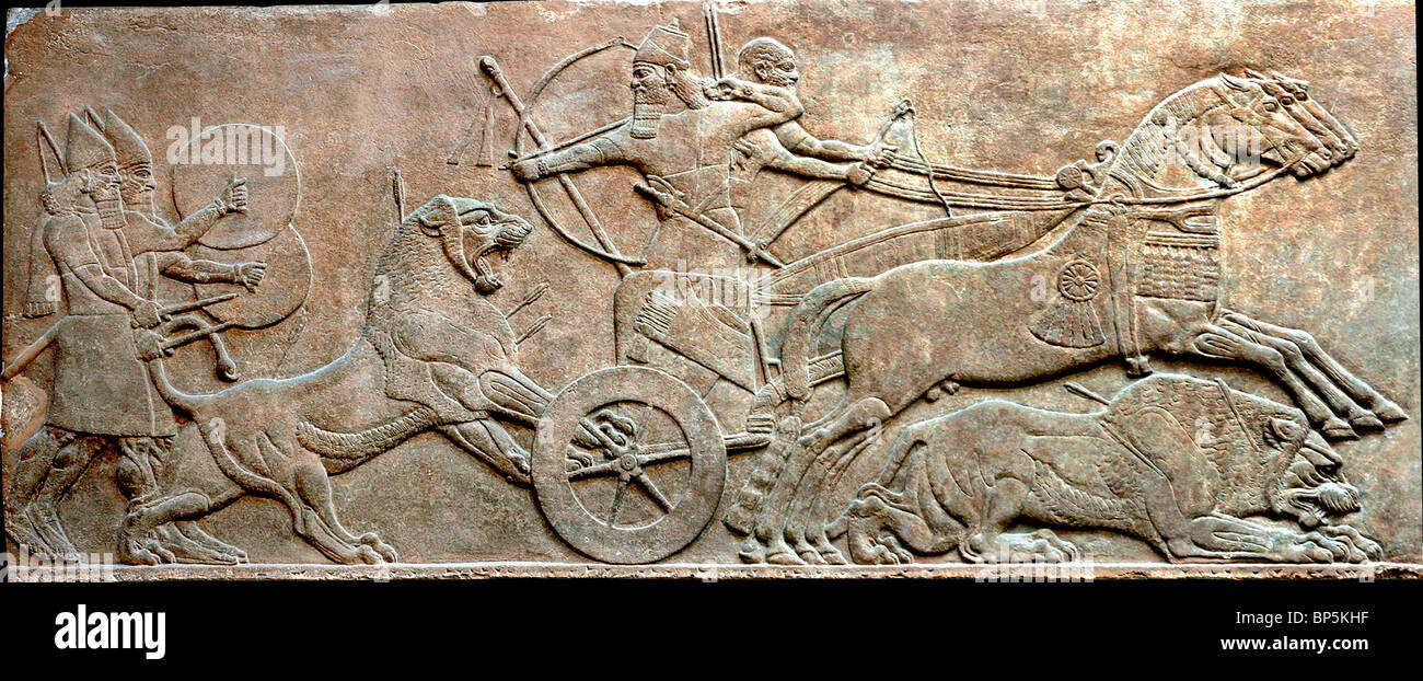 LION HUNT - ASSYRIAN KING ASURBANIPAL IN HIS CARRIAGE KILLS LIONS RELEASED FROM CAGES & HERDED TOWARDS HIM. RELIEF FROM THE Stock Photo