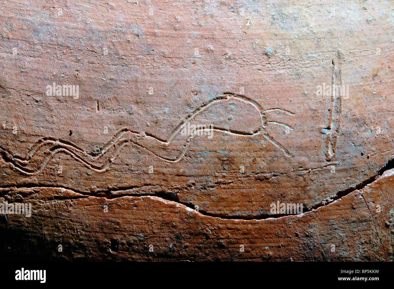 5315. Snake engraved on a large storage jar dating c. 1000 BC. Ashkalon excavations. Stock Photo