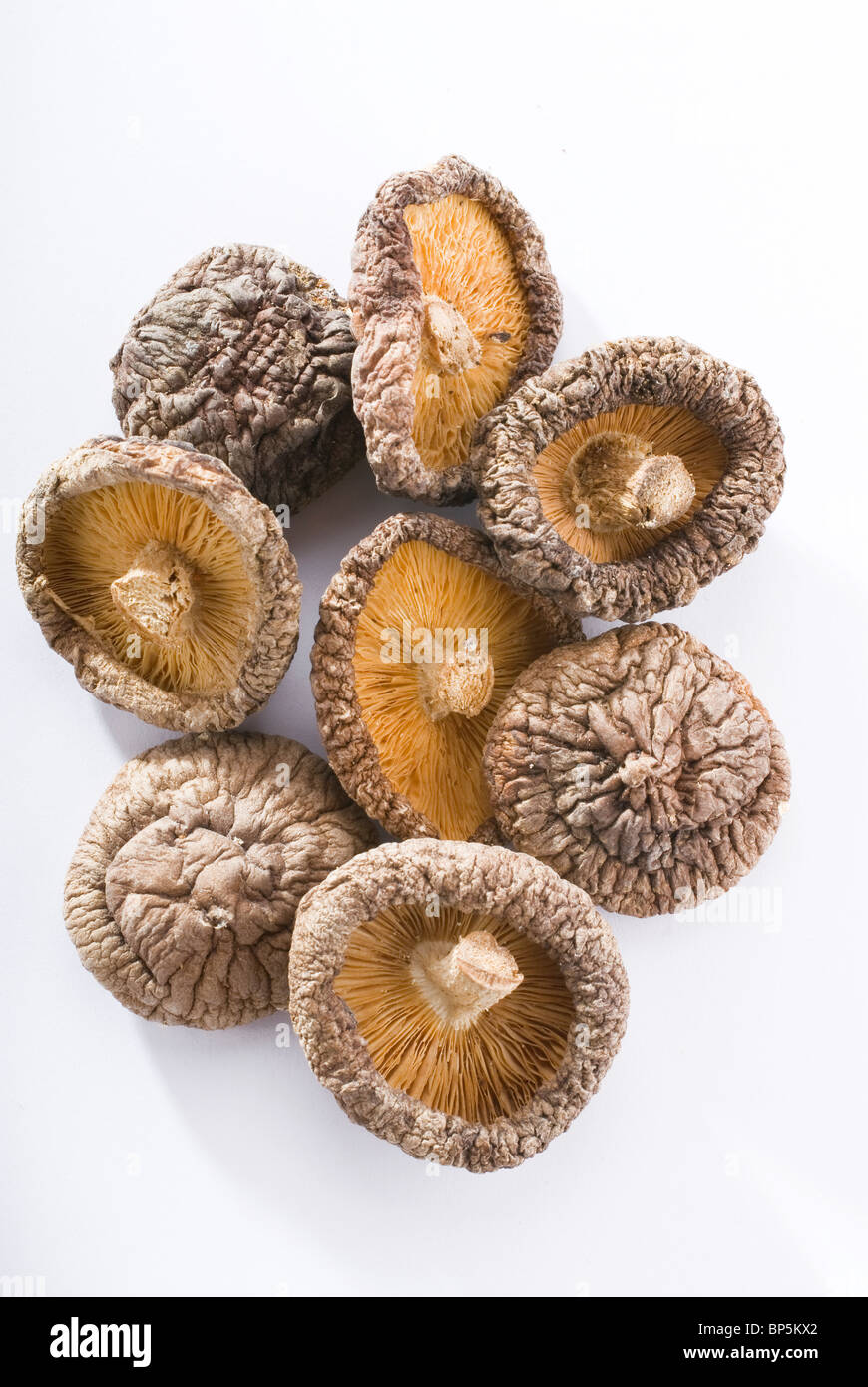 Shitake mushroom hi-res stock photography and images - Alamy