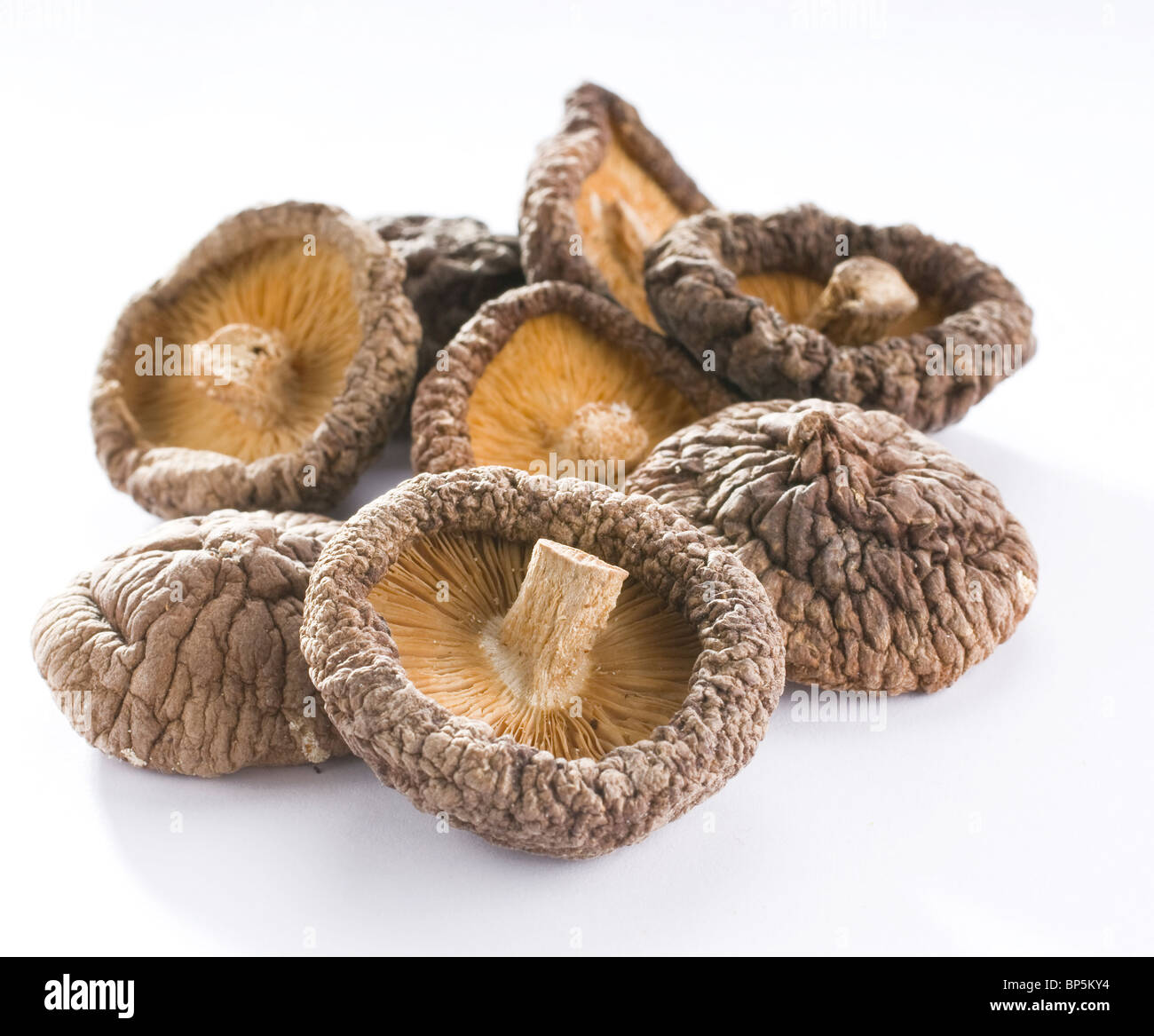 Chinese mushrooms hires stock photography and images Alamy