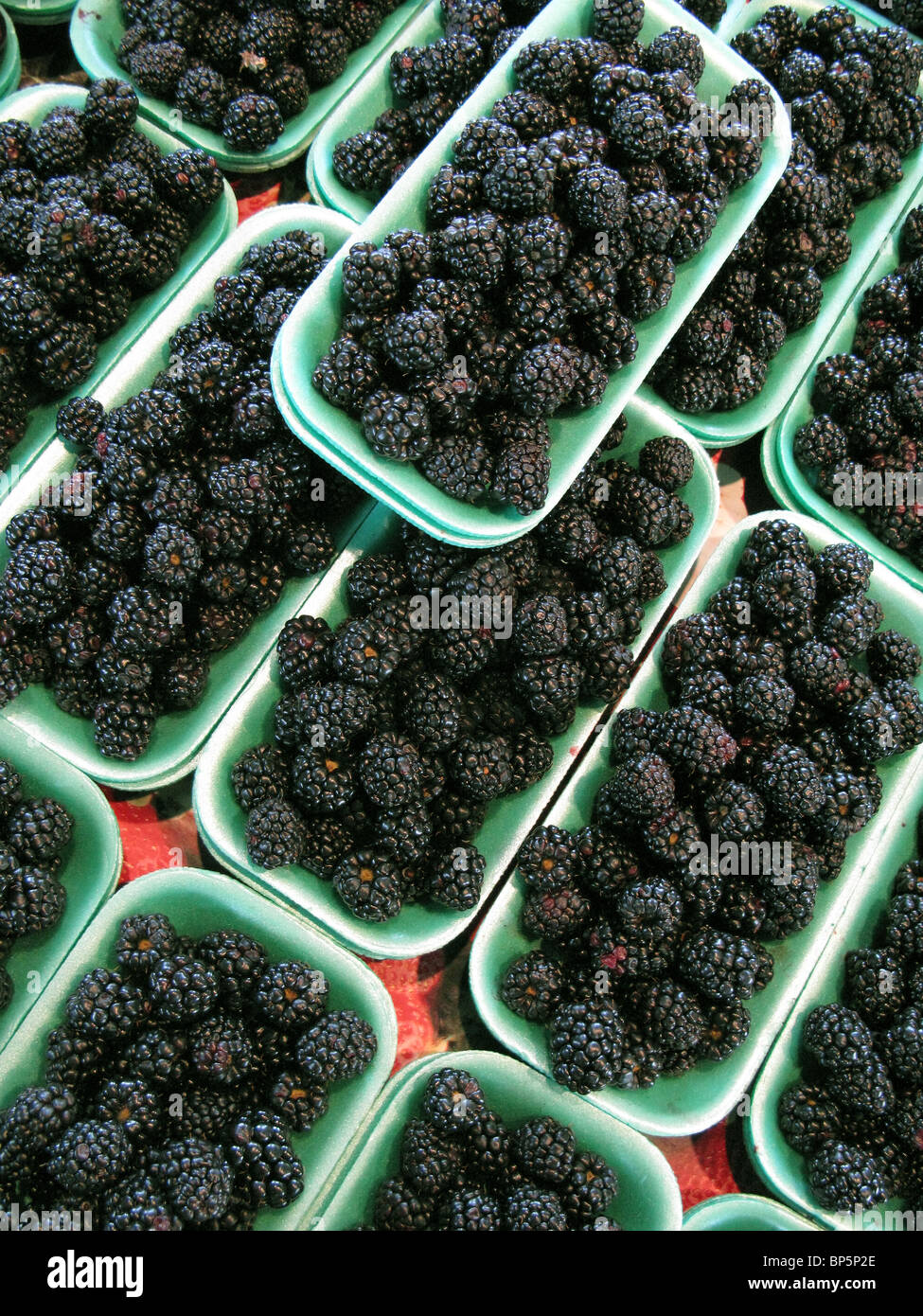 A collection of trays with fresh farmer's market blackberries Stock Photo