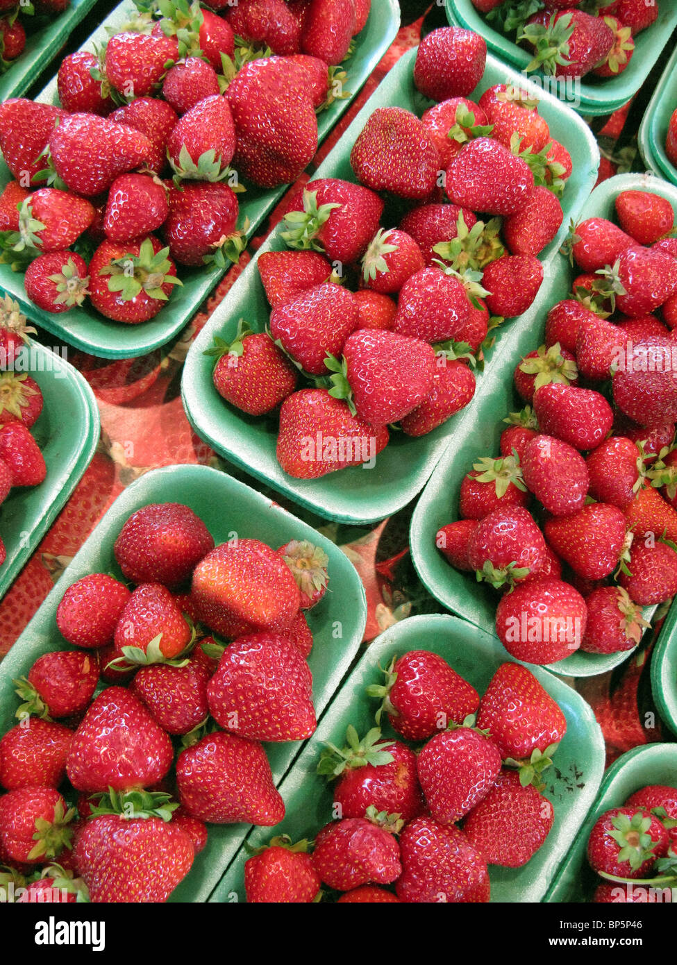 A collection of trays with fresh farmer's market red strawberries Stock Photo