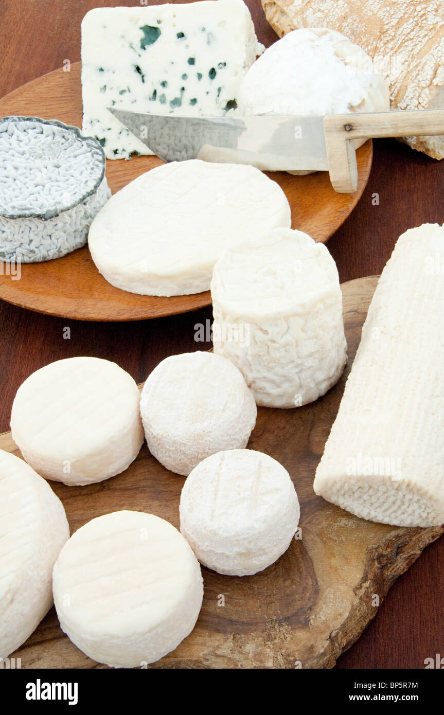 Goat and sheep cheeses Stock Photo Alamy