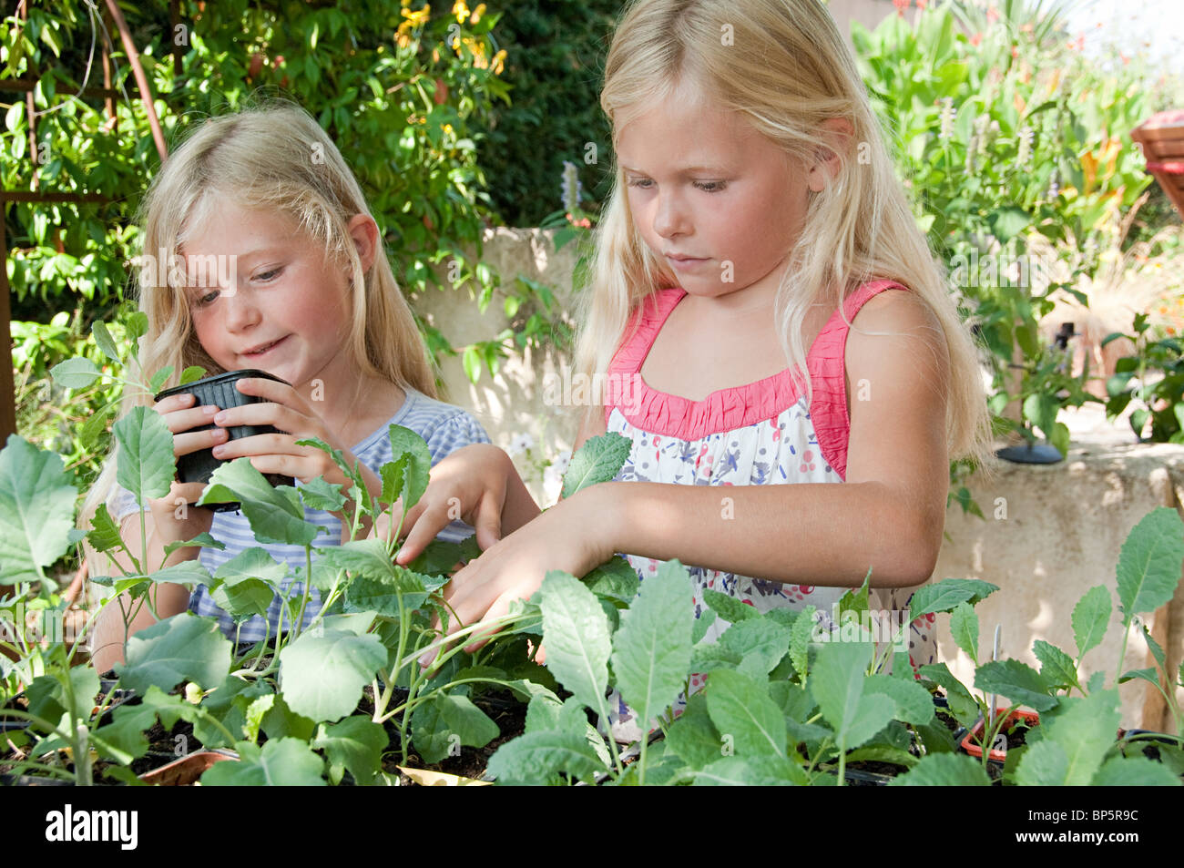 Dirty Garden Girls