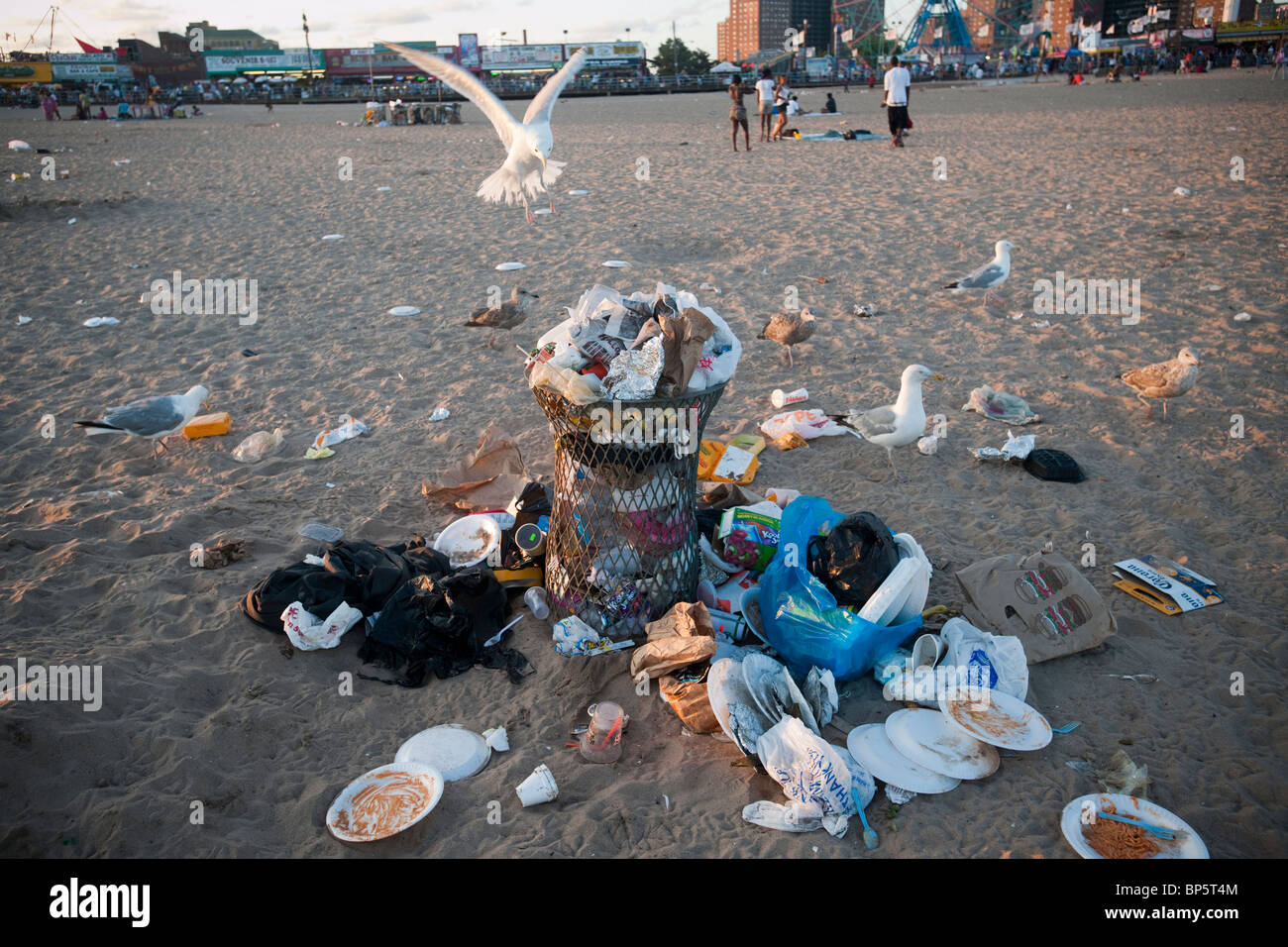 Seagulls visit overflowing trash cans on the beach at Coney Island in ...
