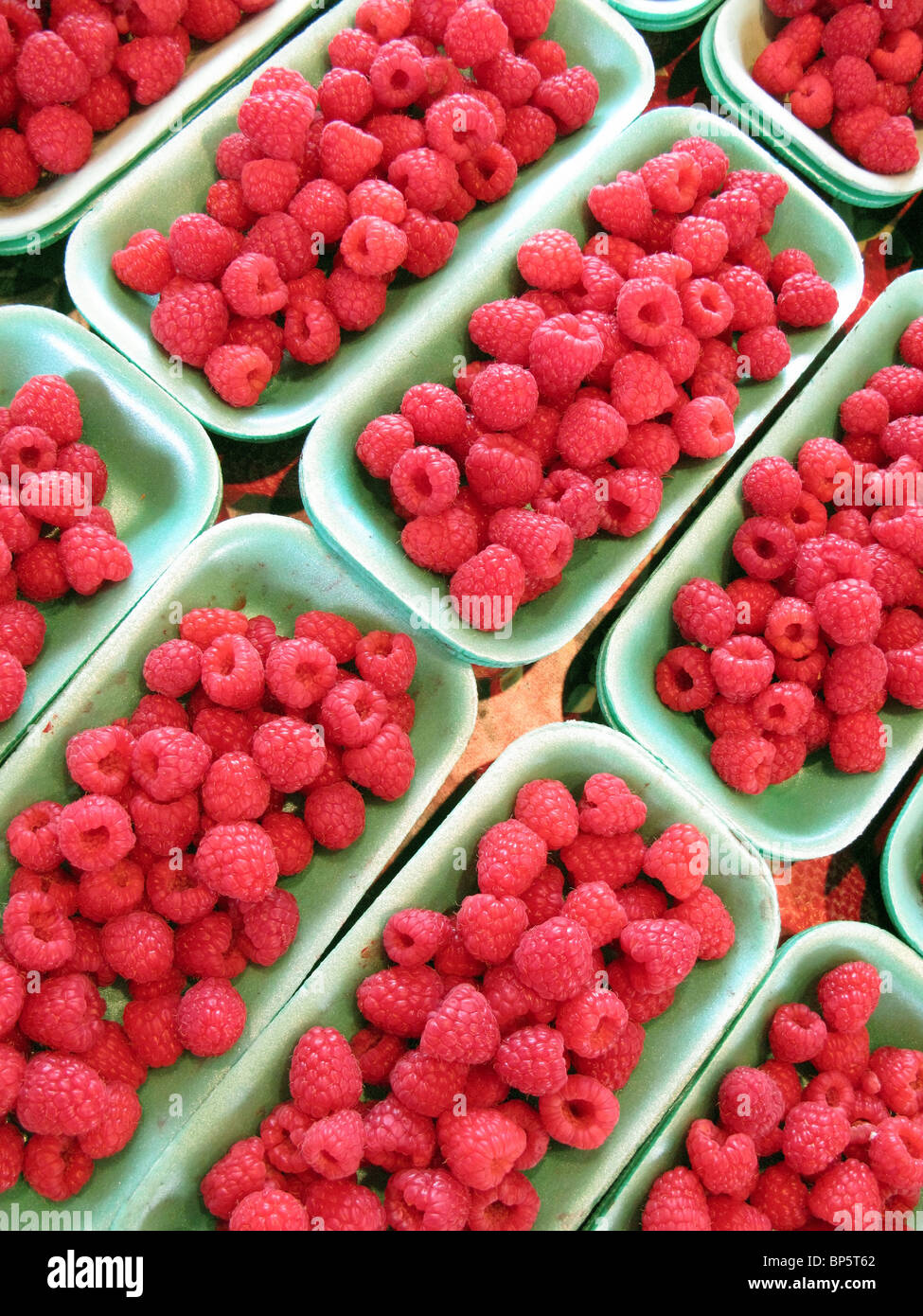 A collection of trays with fresh farmer's market red raspberries Stock Photo