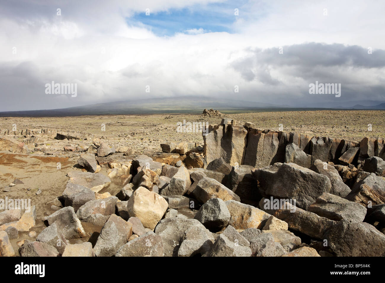 Springald With Rocks Rock formations in the lava field of Skjaldbreidur mountain Stock Photo ...