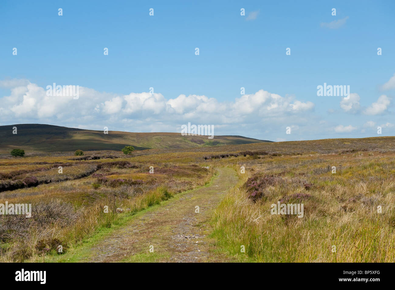 Beautiful view on the mountains in Ulster way Stock Photo