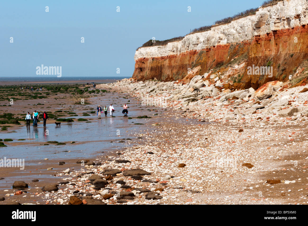 The red and white banded cliffs of Hunstanton on the Norfolk coast, England at low tide Stock Photo