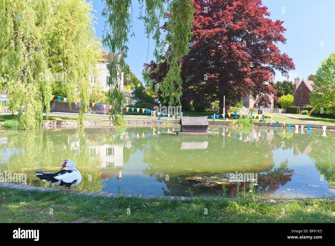 Otford duck pond center village hires stock photography and images Alamy
