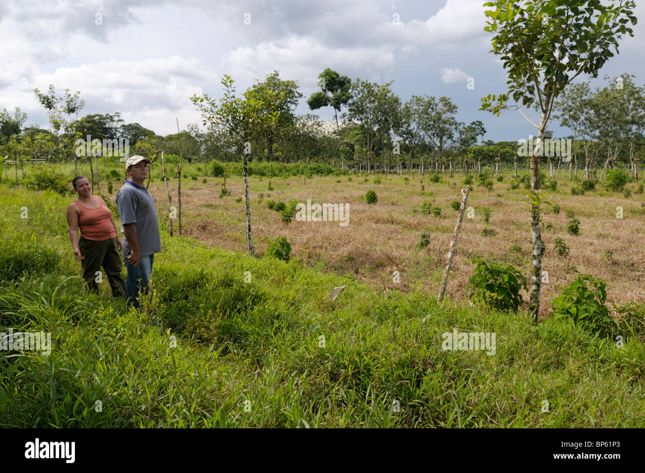 Farmers on their land, an organic family farm, Chilamate, Costa Rica. Stock Photo