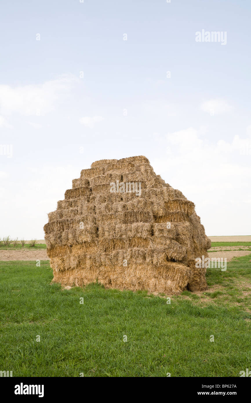 Stacks of hay.  Gmina Przylek, Zwolen county, Poland. Stock Photo