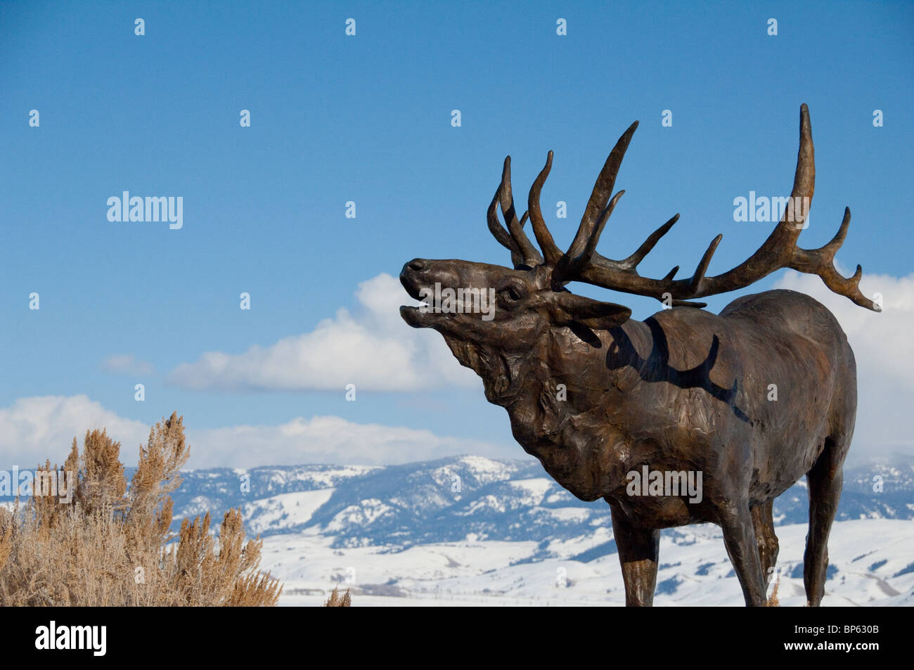 Bronze elk hires stock photography and images Alamy