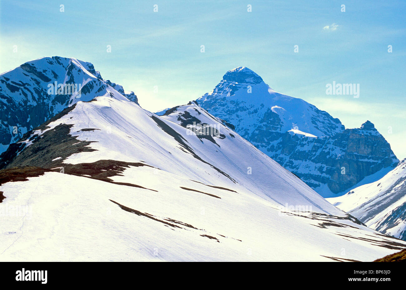 Mount Snowdome, Canadian Rockies. Melt waters from Snowdome flow into