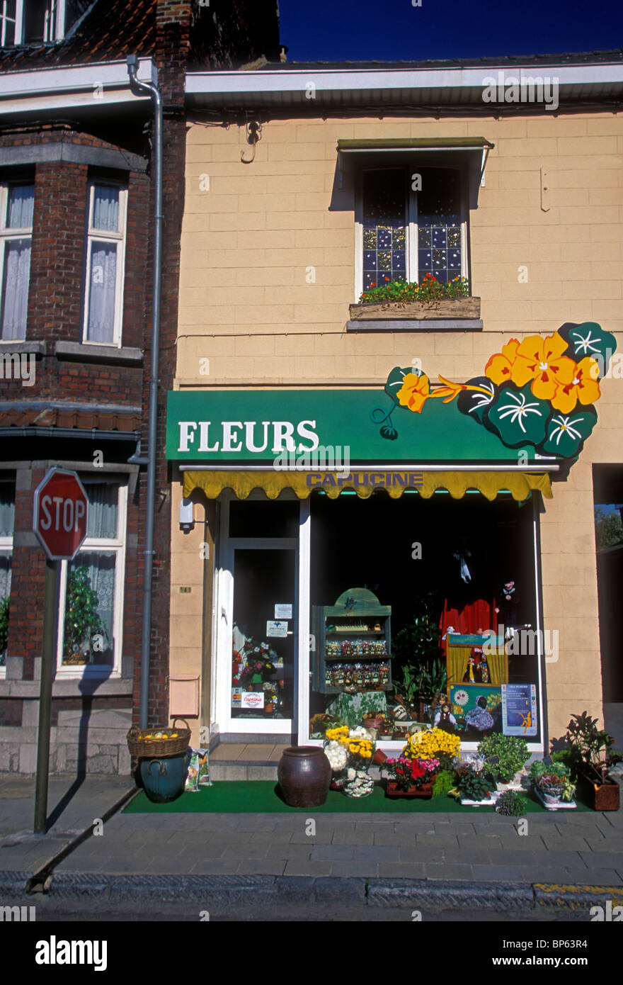 Fleurs wop hires stock photography and images Alamy