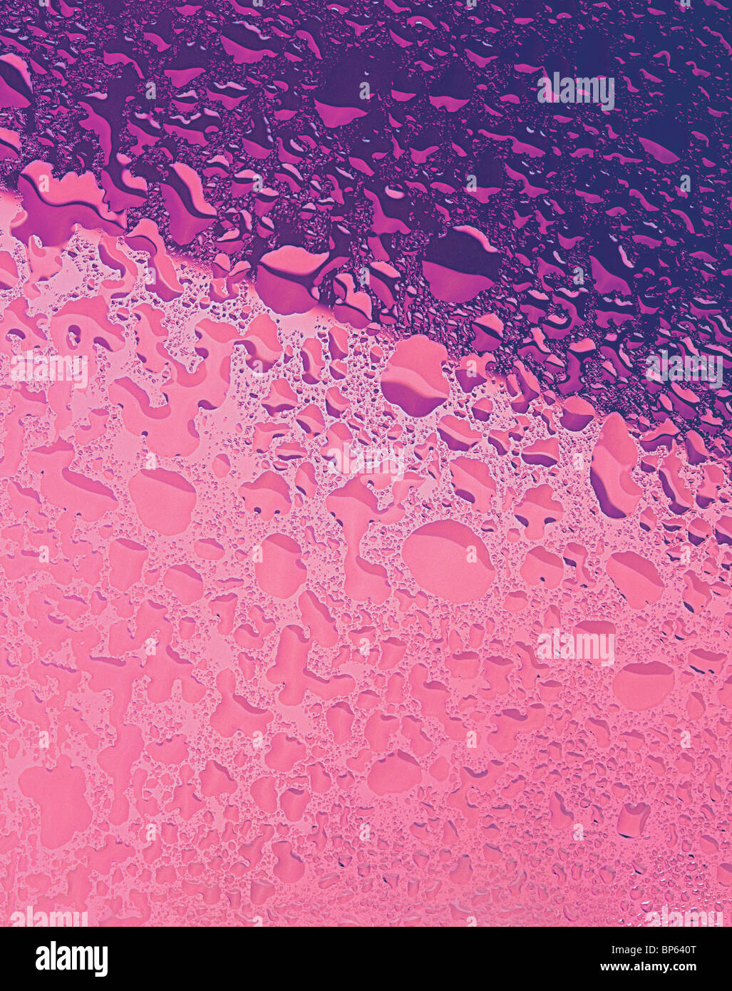 Large divided hi-res stock photography and images - Alamy