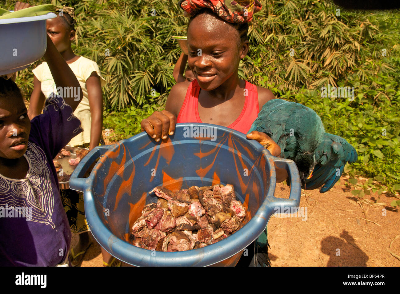 Liberian girl selling bushmeat Stock Photo Alamy