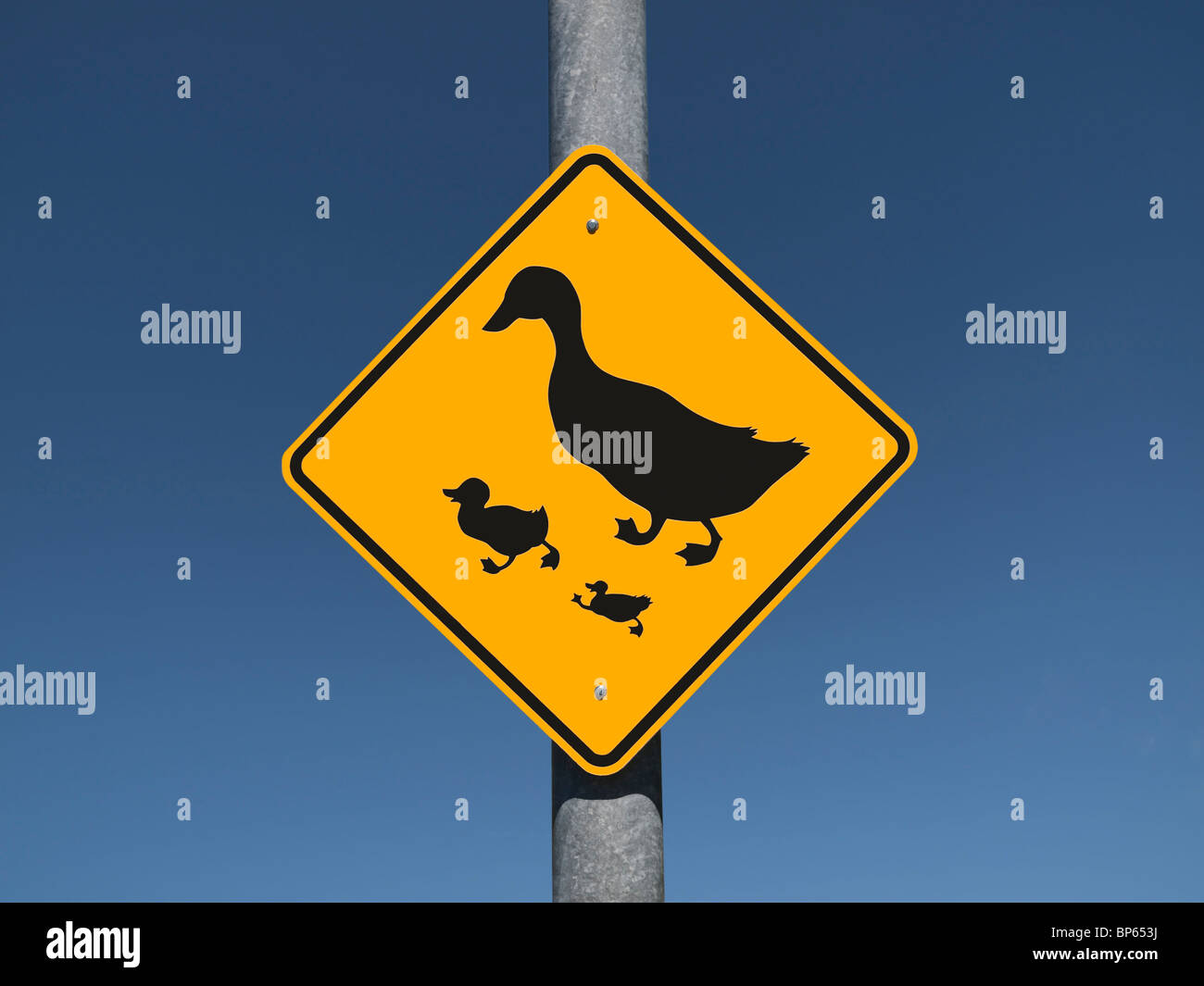 Duck Crossing sign set against a deep blue sky. Stock Photo