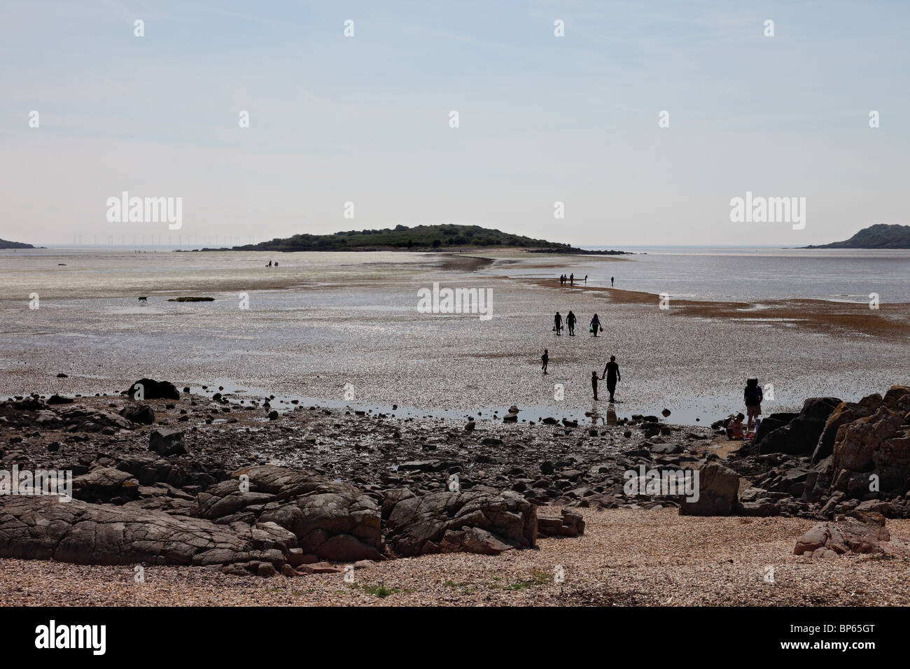 Families Walking on the Causeway to Rough Island at Low Tide Dumfries and Galloway Scotland Stock Photo