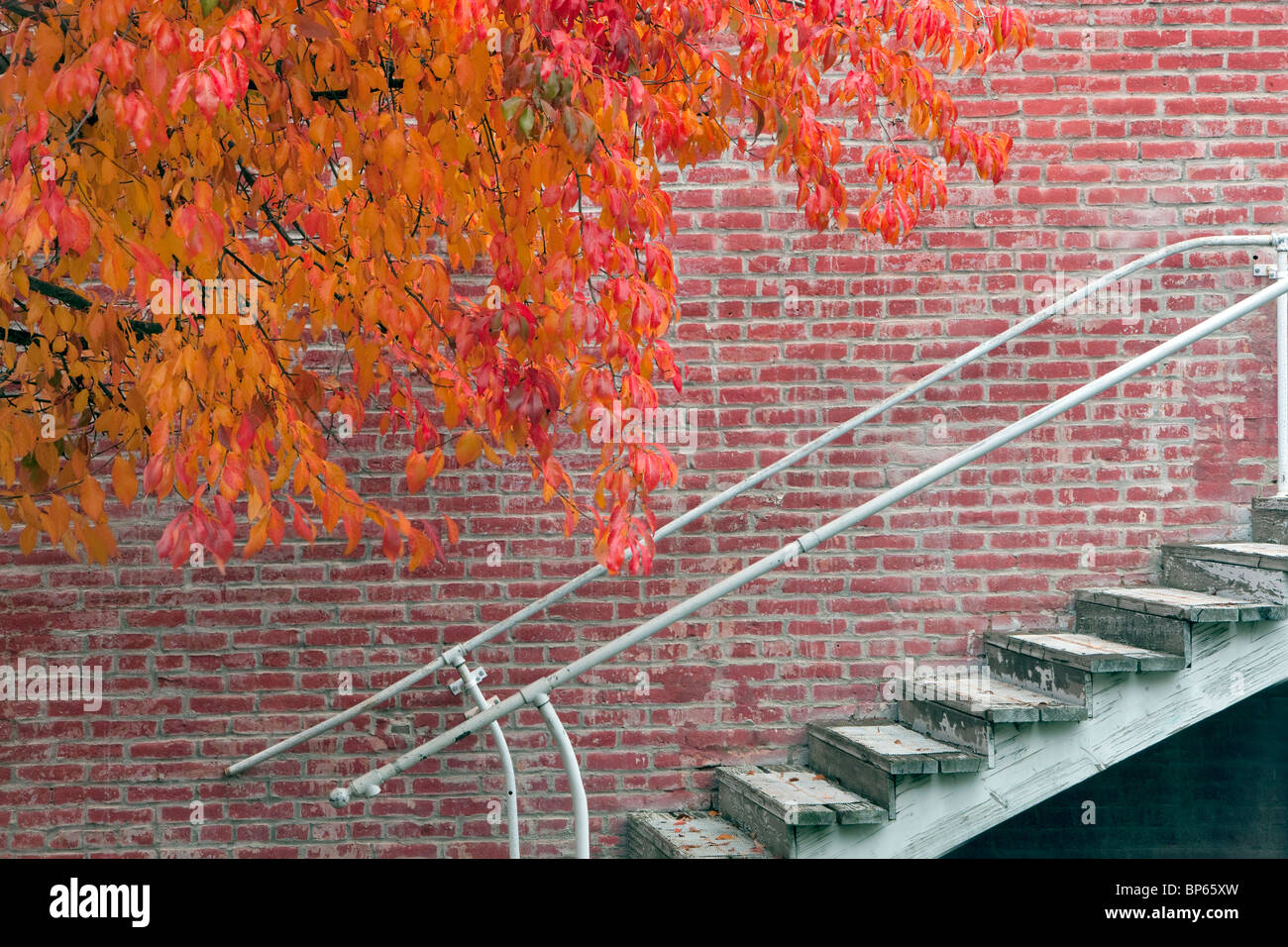 Fall color next to brick building and stairs. Jacksonville, Oregon Stock Photo