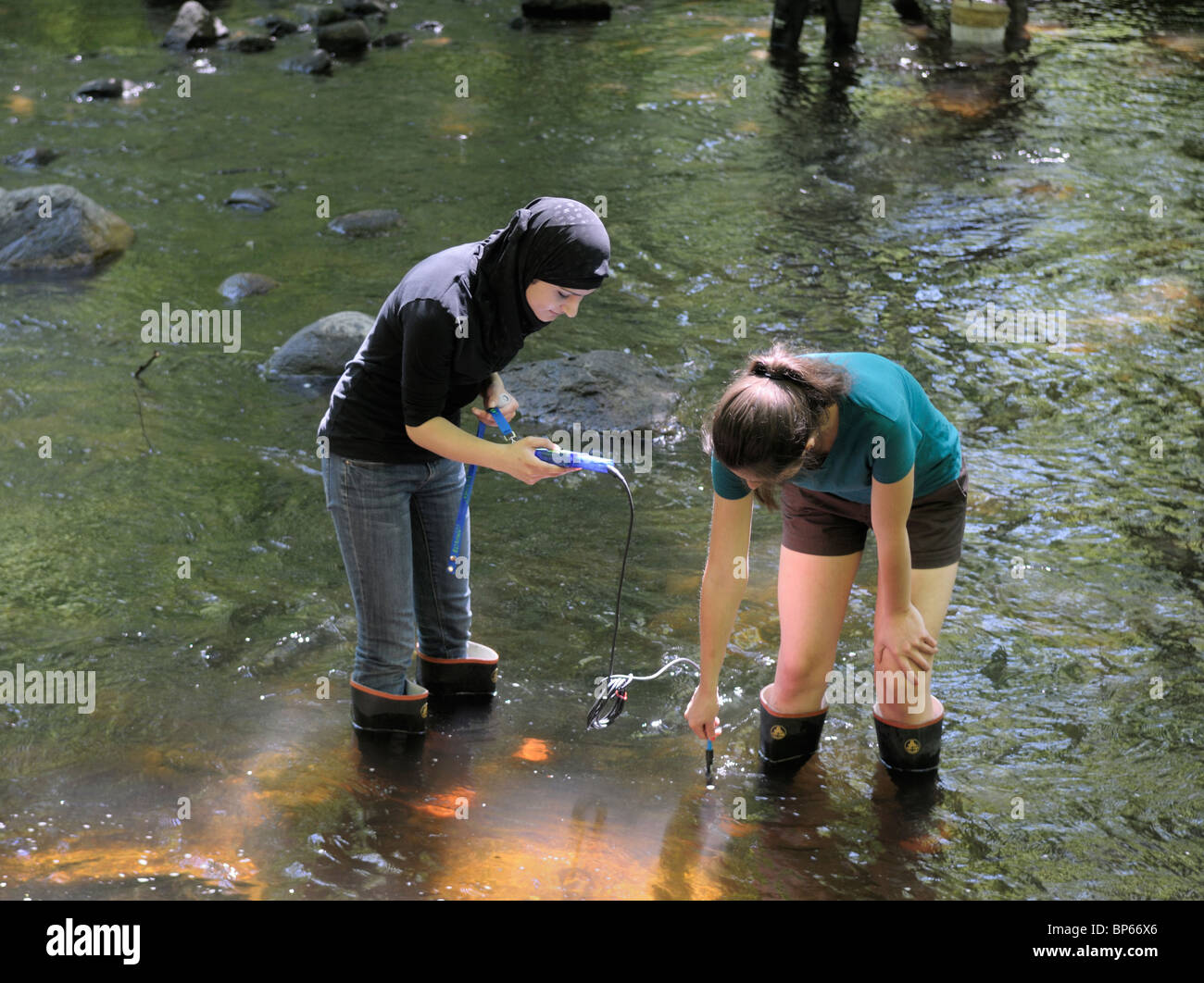 Female teenage high school students using a digital sensor to measure dissolved oxygen levels in a stream, northern New Jersey. Stock Photo