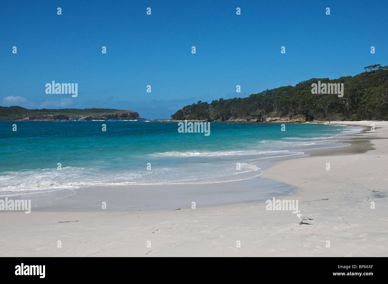 Murray's Beach Booderee National Park Jervis Bay NSW Australia Stock ...