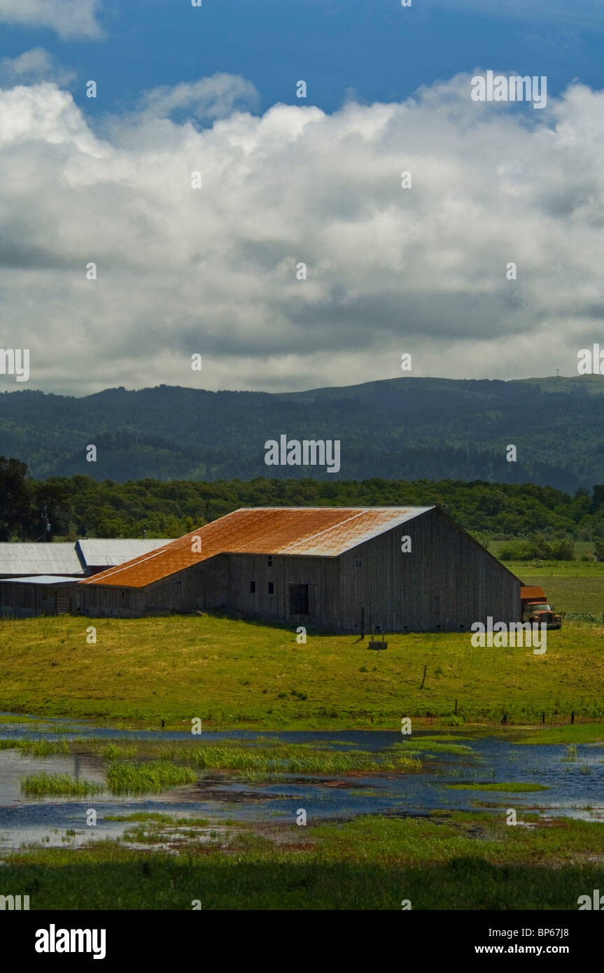 Rural farm and flooded pasture in Spring, near Loleta, Humboldt County, California Stock Photo