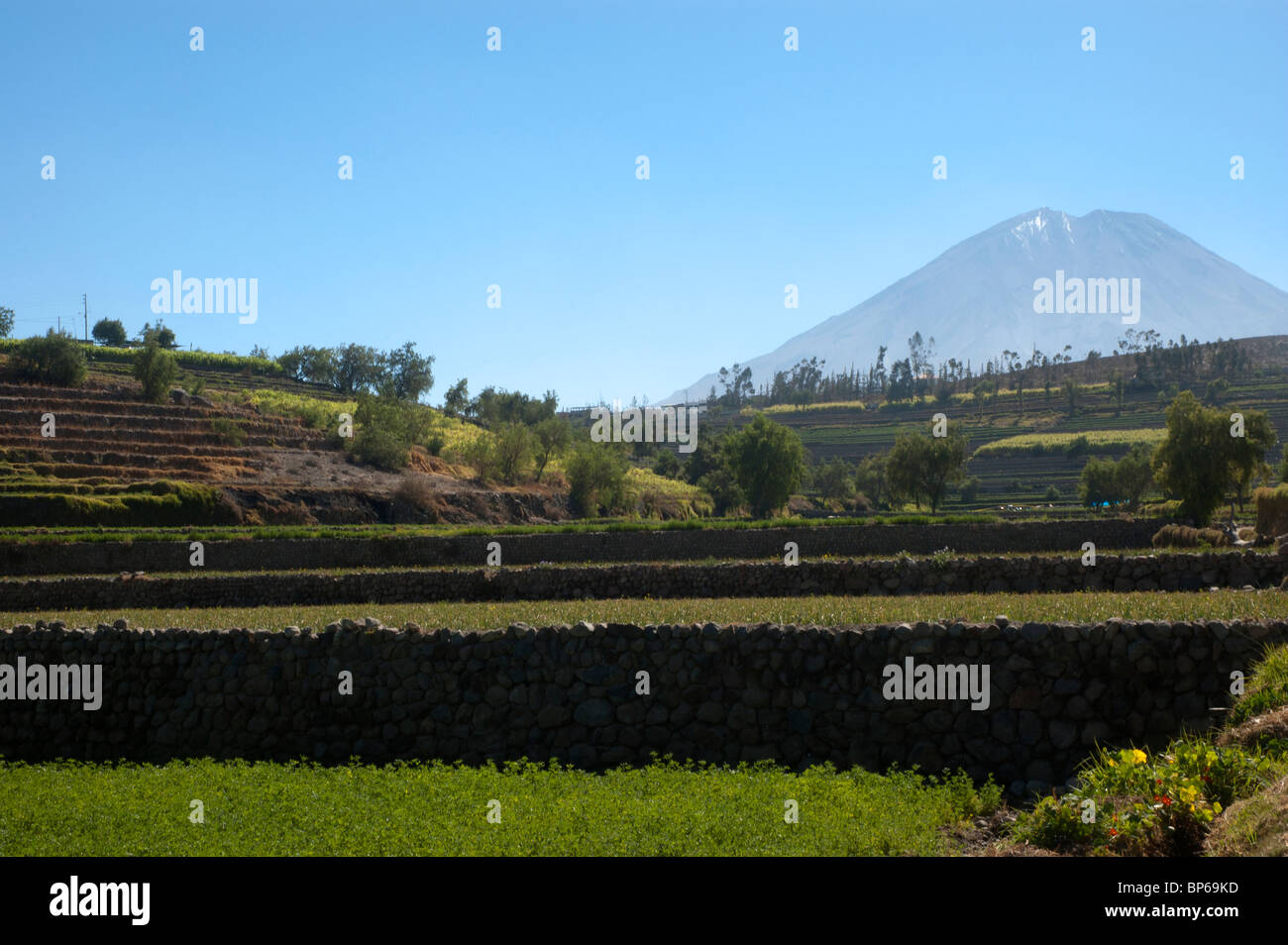 El Misti, volcano, in the distance, with ancient rock wall terracing, to the suburbs of Arequipa,Peru. Stock Photo