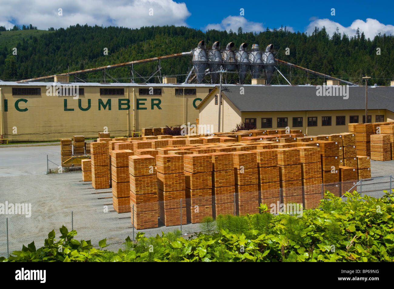 Stacked piles of wood boards at the Pacific Lumber Company Lumber Mill at Scotia, Humboldt County, California Stock Photo