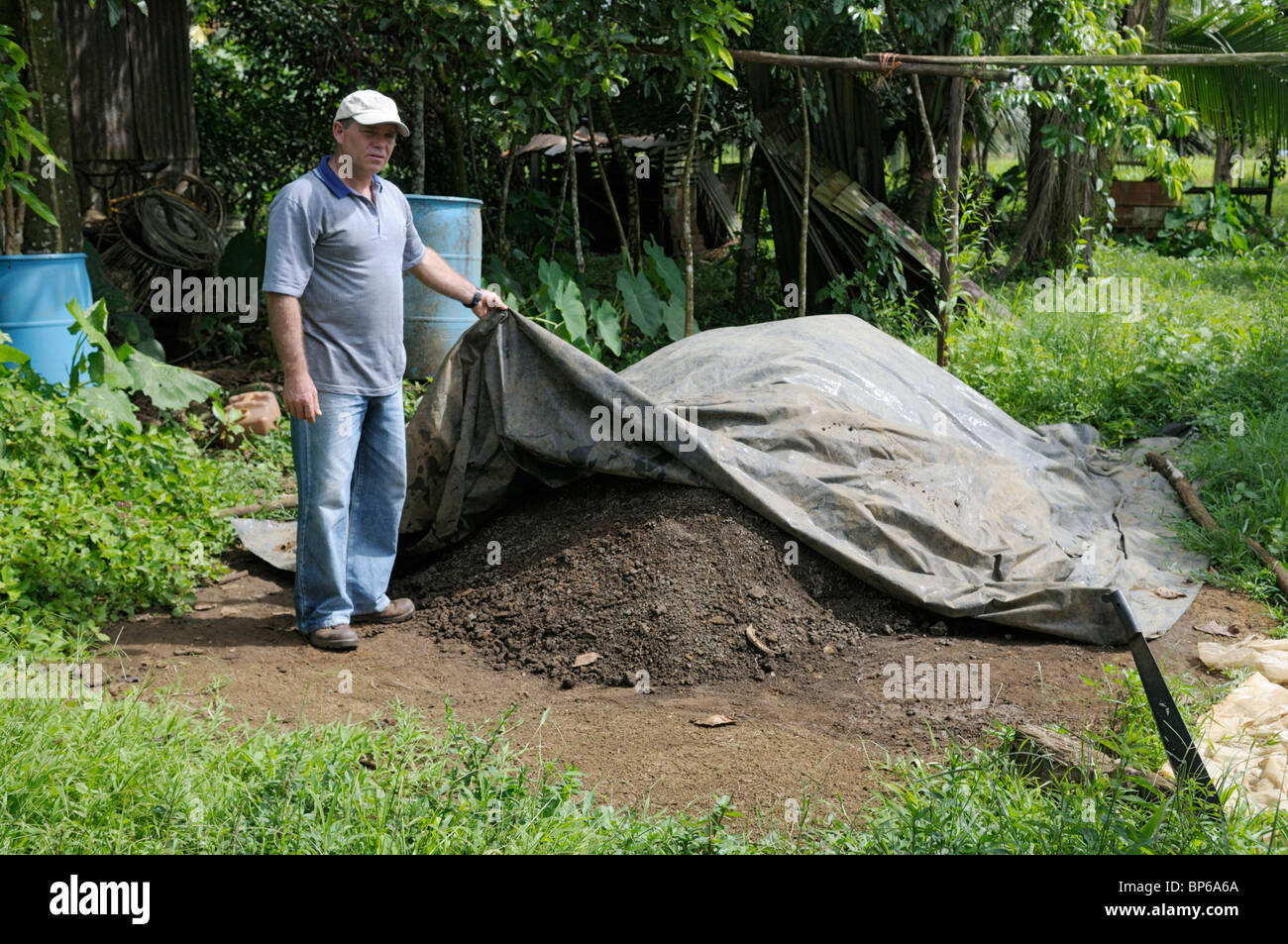 A farmer showing his compost mound at an organic family farm, Chilamate, Costa Rica. Stock Photo