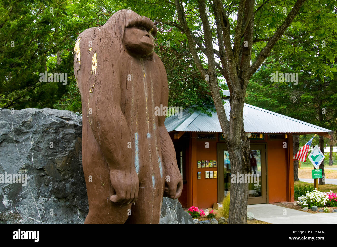 Statue of Bigfoot outside the local visitor information center in Willow Creek, California Stock Photo