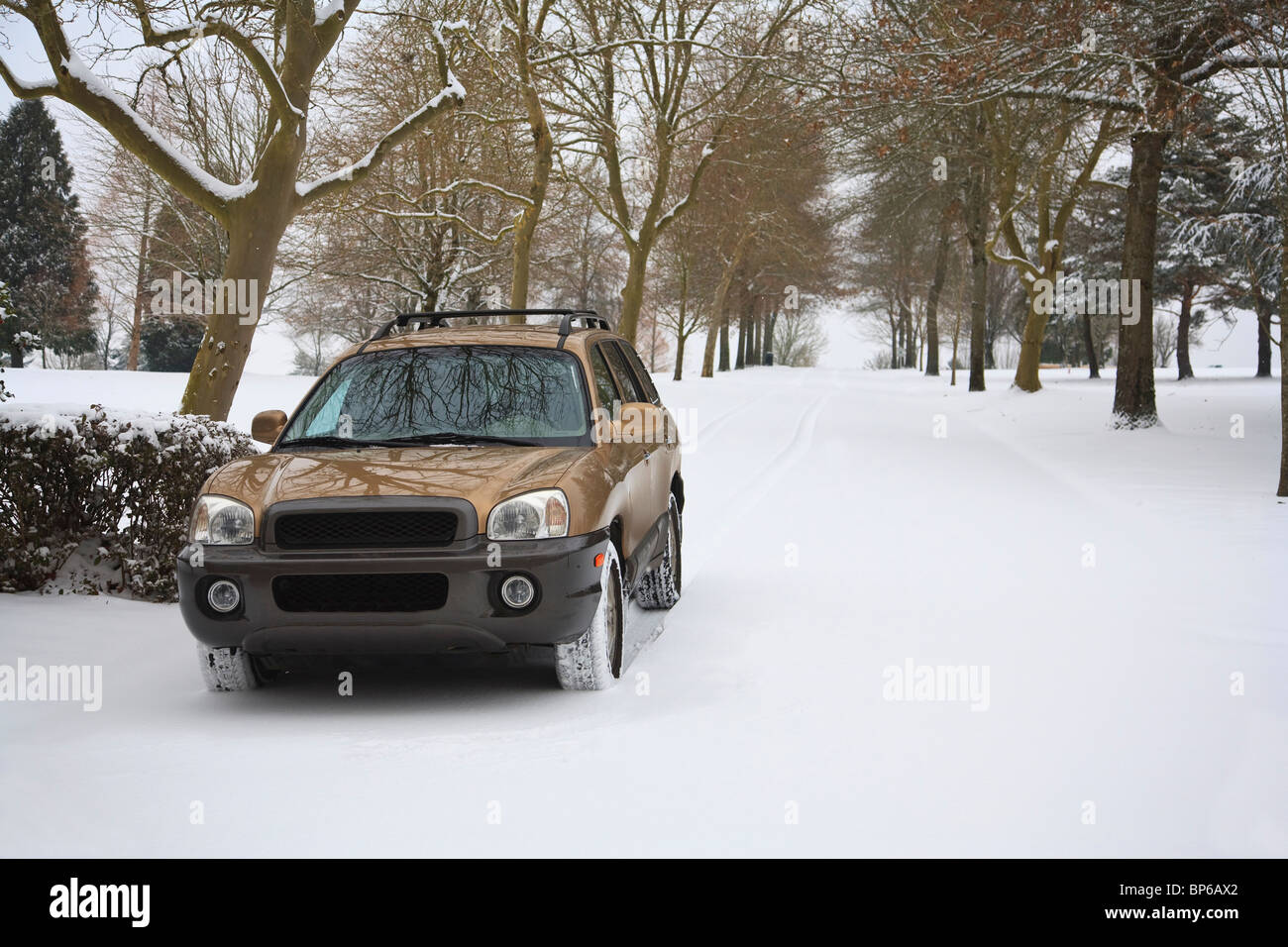 Happy Valley, Oregon, United States Of America; A Car Traveling On A