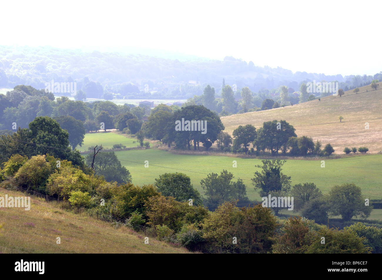 Chiltern Hills landscape near Turville, Buckinghamshire, England, UK