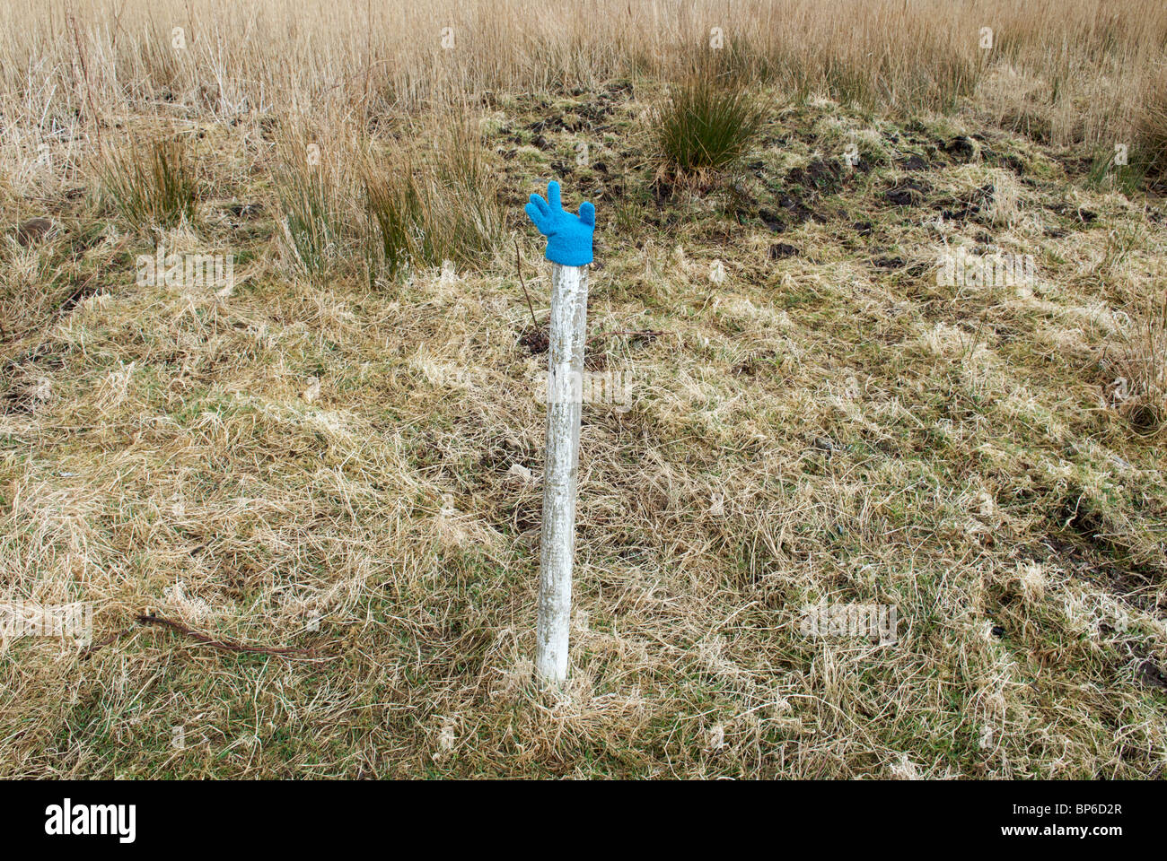 A blue glove sits atop a wooden post, Kilchoan, Ardnamurchan, Scotland, UK Stock Photo