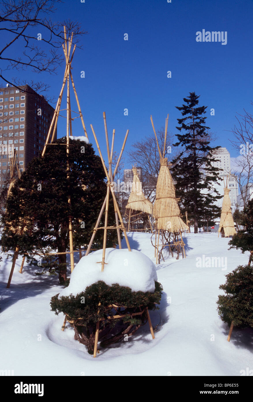 Odori Park in Winter, Sapporo, Hokkaido, Japan Stock Photo Alamy