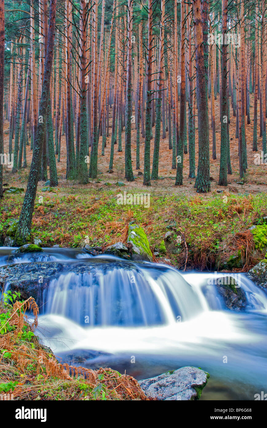 Waterfall. Navafria. Sierra de Guadarrama National Park. Segovia province. Castilla y Leon. Spain. Stock Photo