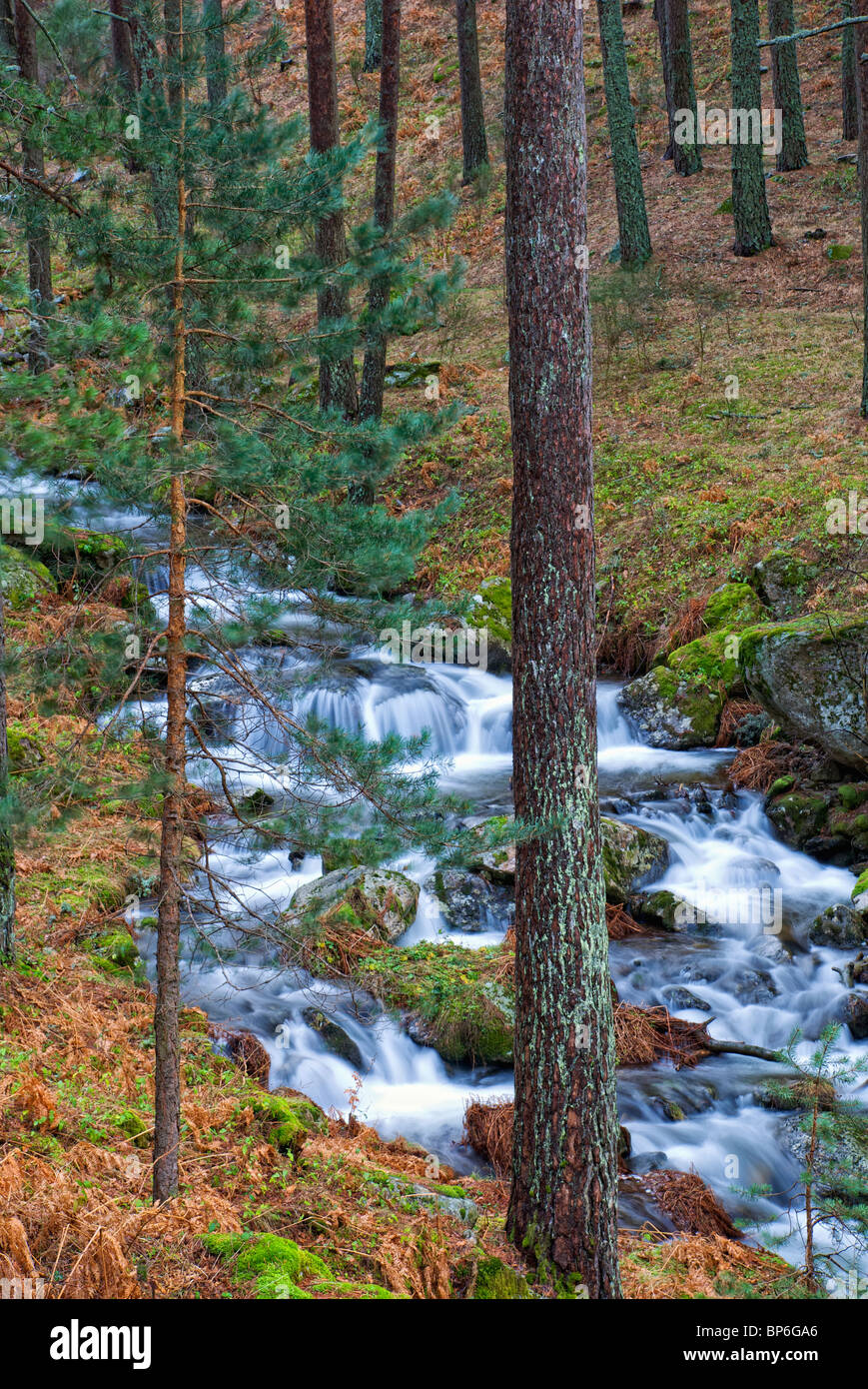 Waterfall. Navafria. Sierra de Guadarrama National Park. Segovia province. Castilla y Leon. Spain. Stock Photo