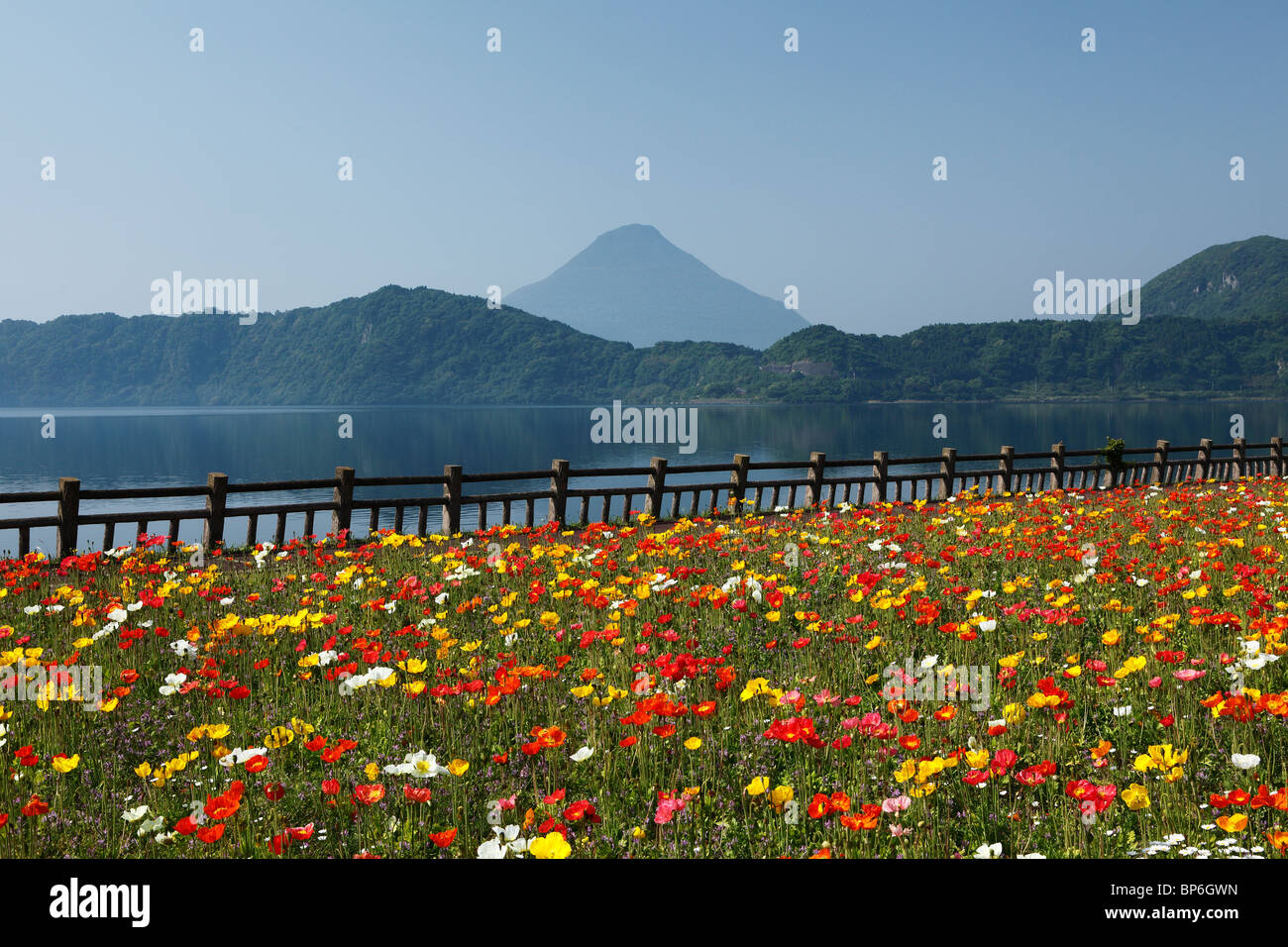 Flower Garden, Ibusuki, Kagoshima, Japan Stock Photo