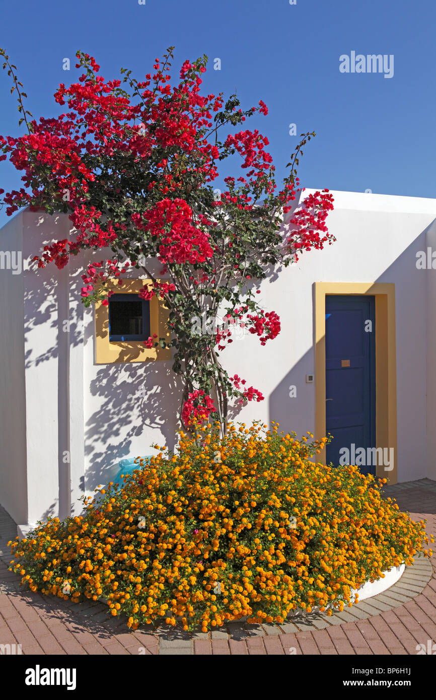 Hotel Naxos Palace Agios Prokopios Island Of Naxos - 