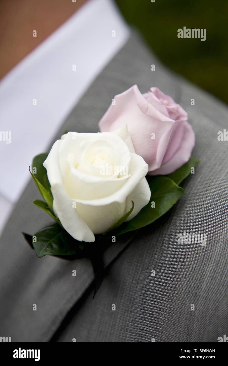 Detail of a rose boutonniere on a jacket lapel Stock Photo