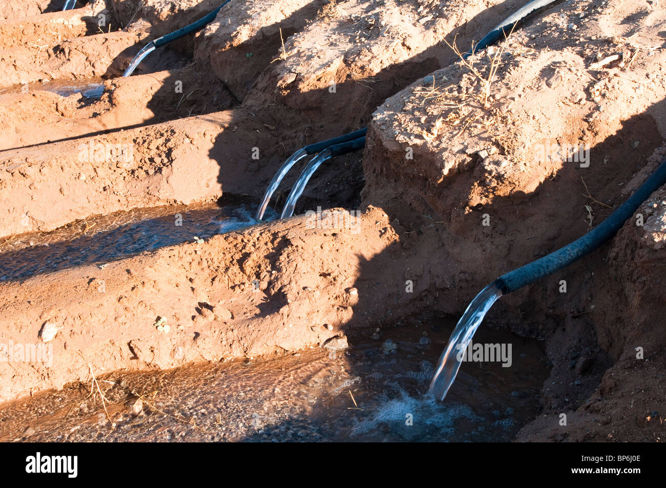 Siphon tubes are used for surface flood irrigation of a field in Arizona. Stock Photo