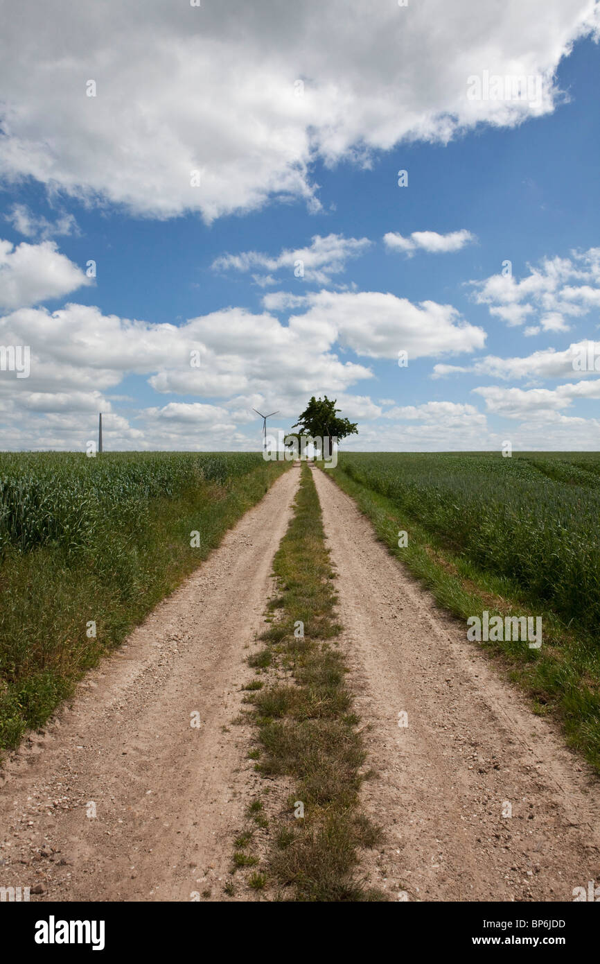 A dirt road, diminishing perspective Stock Photo